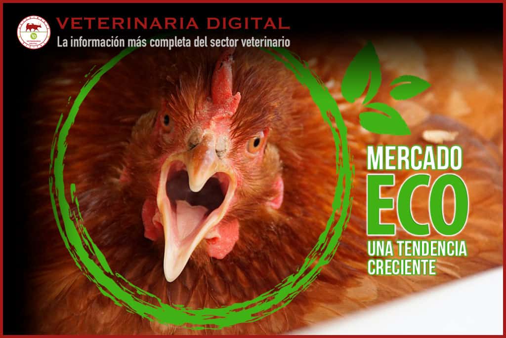 Productos ecológicos, una tendencia creciente