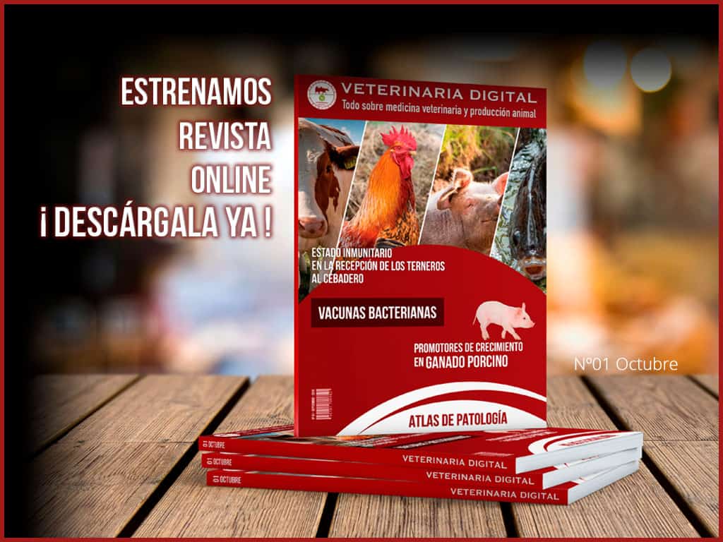 ESTRENAMOS REVISTA EN FORMATO PDF – VETERINARIA DIGITAL
