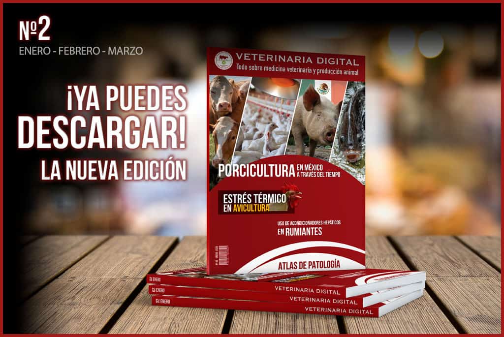 Veterinaria Digital nº2