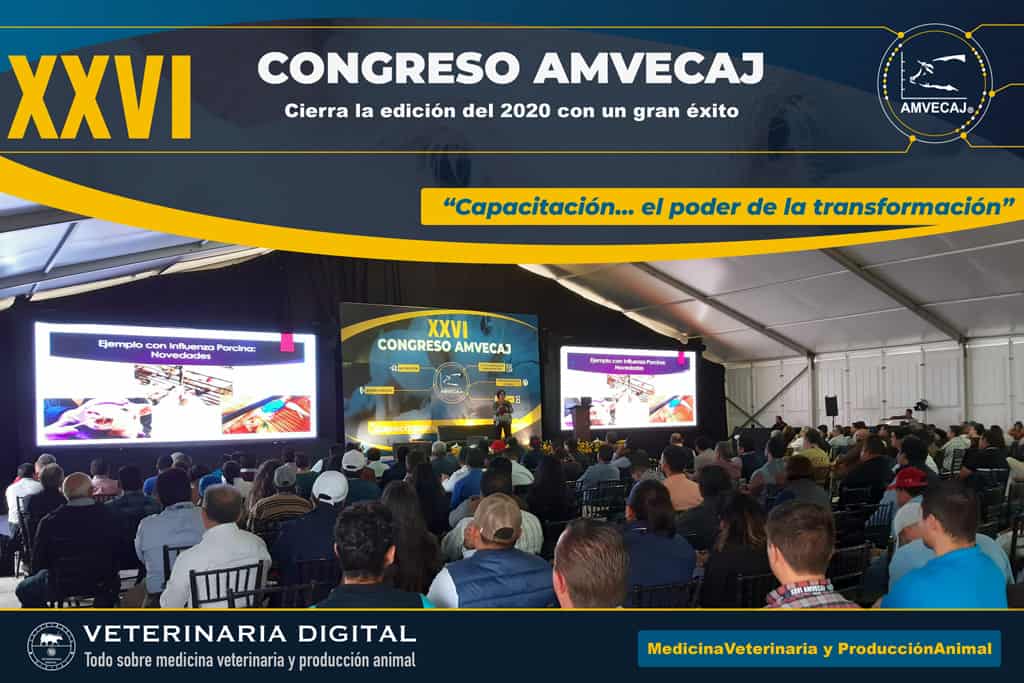 AMVECAJ cierra la edición del 2020 con un gran éxito