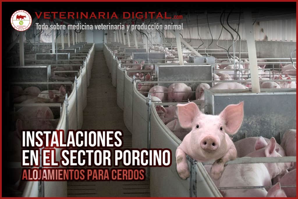 Instalaciones en el sector porcino. Alojamientos para cerdos
