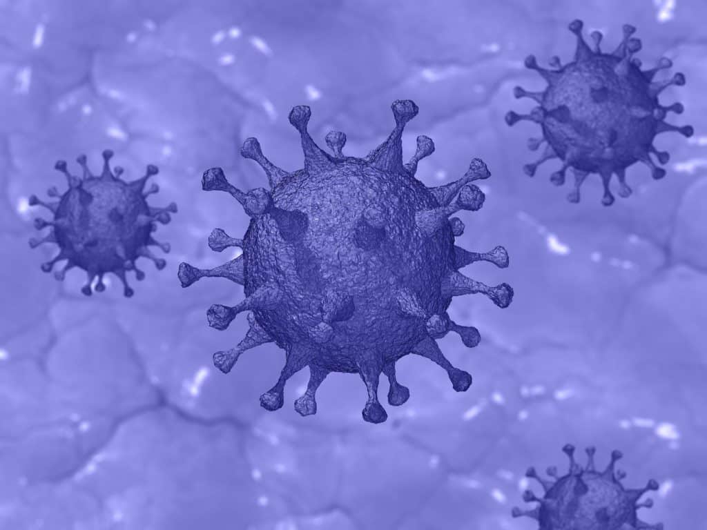 Hacer frente al coronavirus aviar con Alquernat Inmuplus