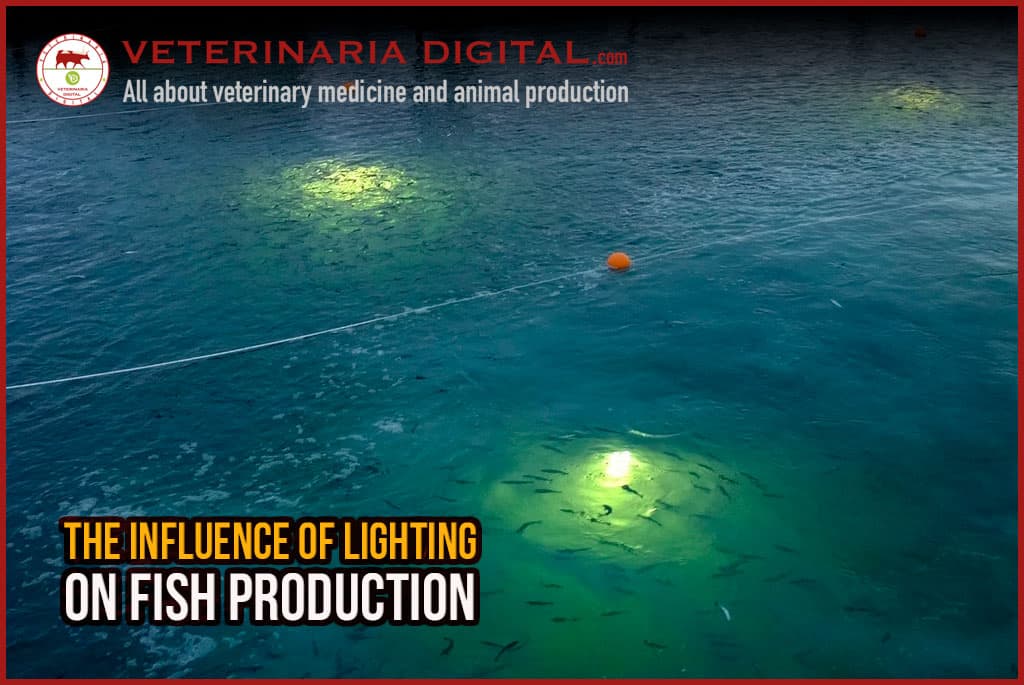 The influence of lighting on fish production