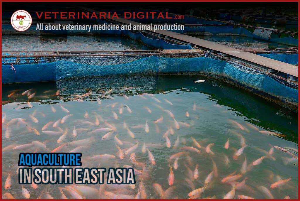 Aquaculture in Southeast Asia