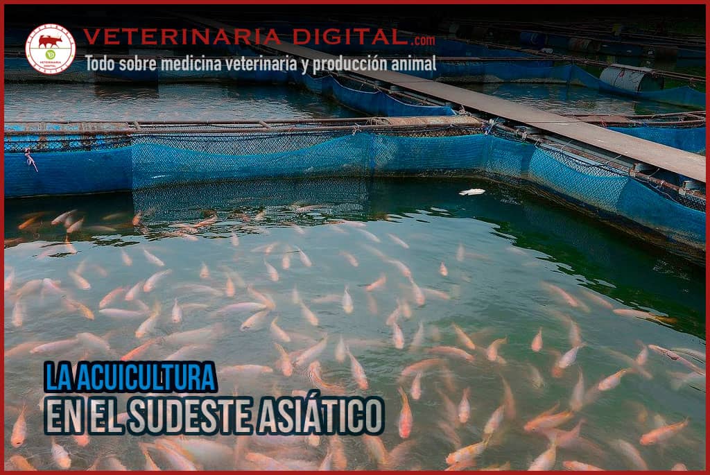 La acuicultura en el sudeste asiático