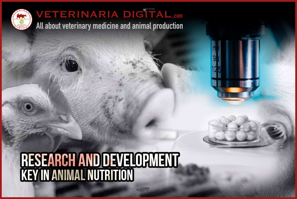 Research and Development, key in animal nutrition