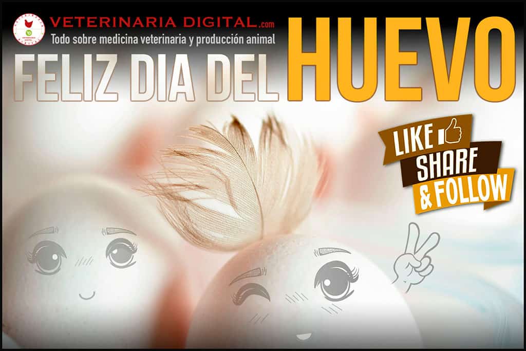 Feliz Día Mundial del Huevo 2020