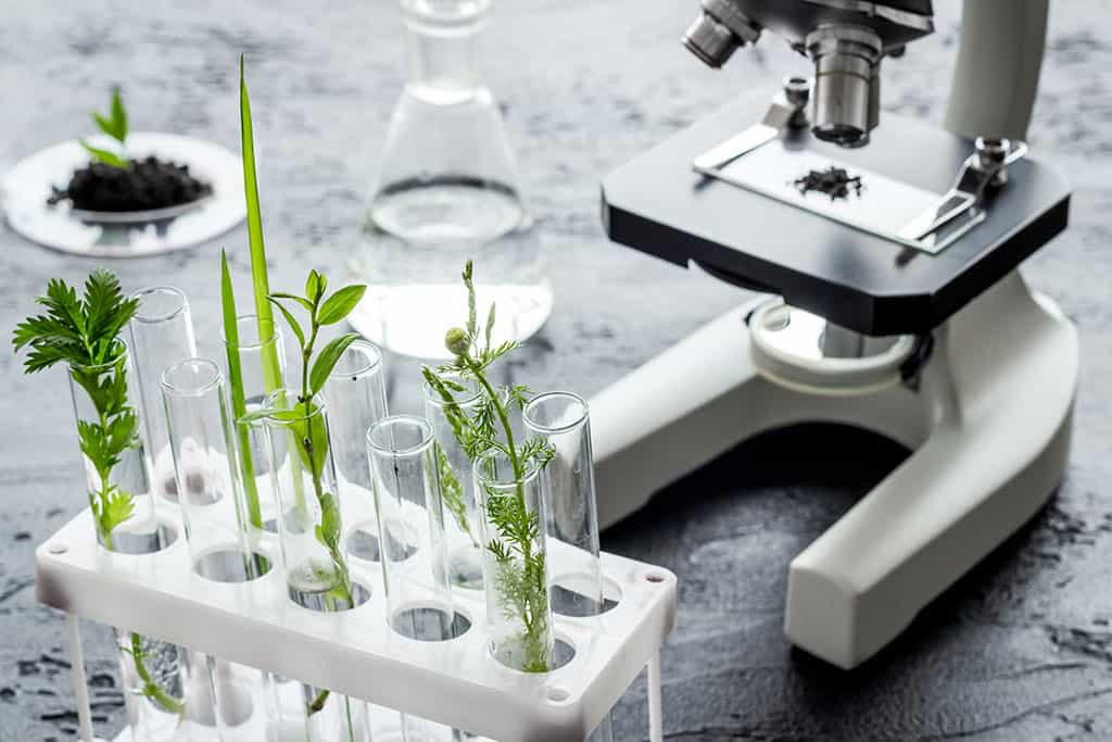 Global Vet’s Lab, technical support service now available!