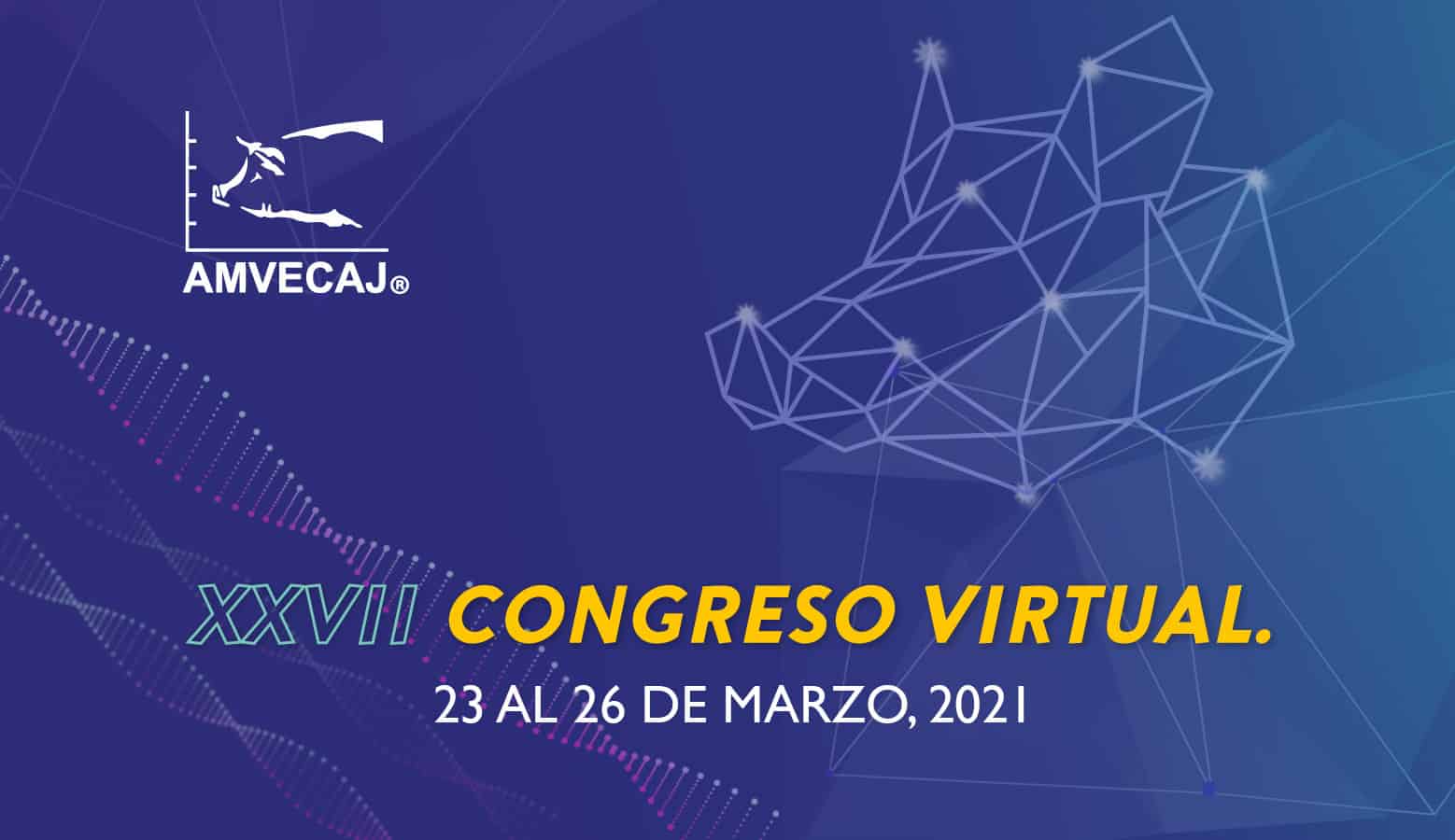 XXVII AMVECAJ Virtual Congress