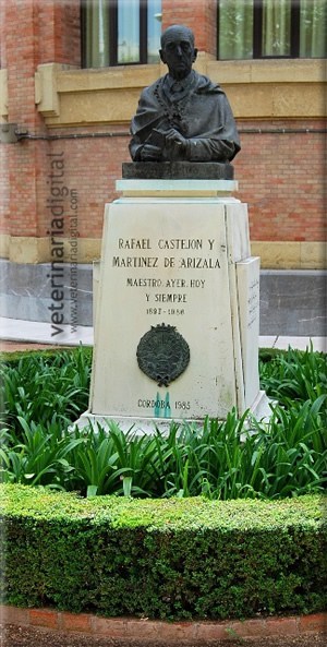 In memoriam: Prof. Rafael Castejón y Martínez de Arizala