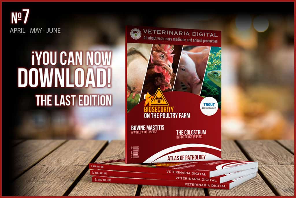 Last issue of the online magazine now available – VeterinariaDigital 07