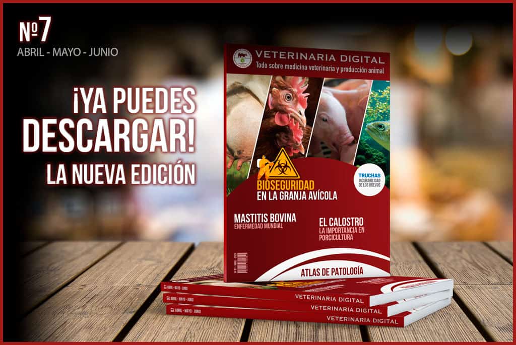 Ya está disponible la última edición de la revista online – VeterinariaDigital 07