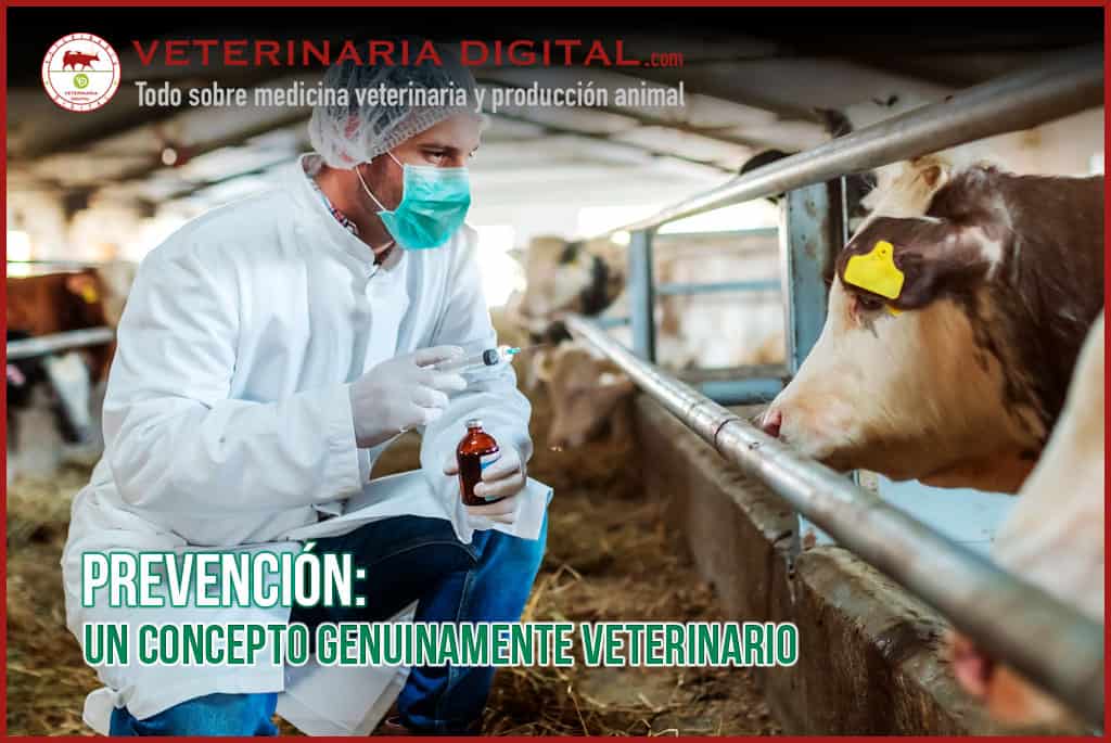 Prevención: Un concepto genuinamente veterinario
