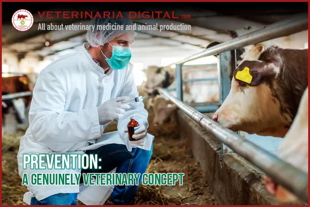 Prevention: A Genuinely Veterinary Concept