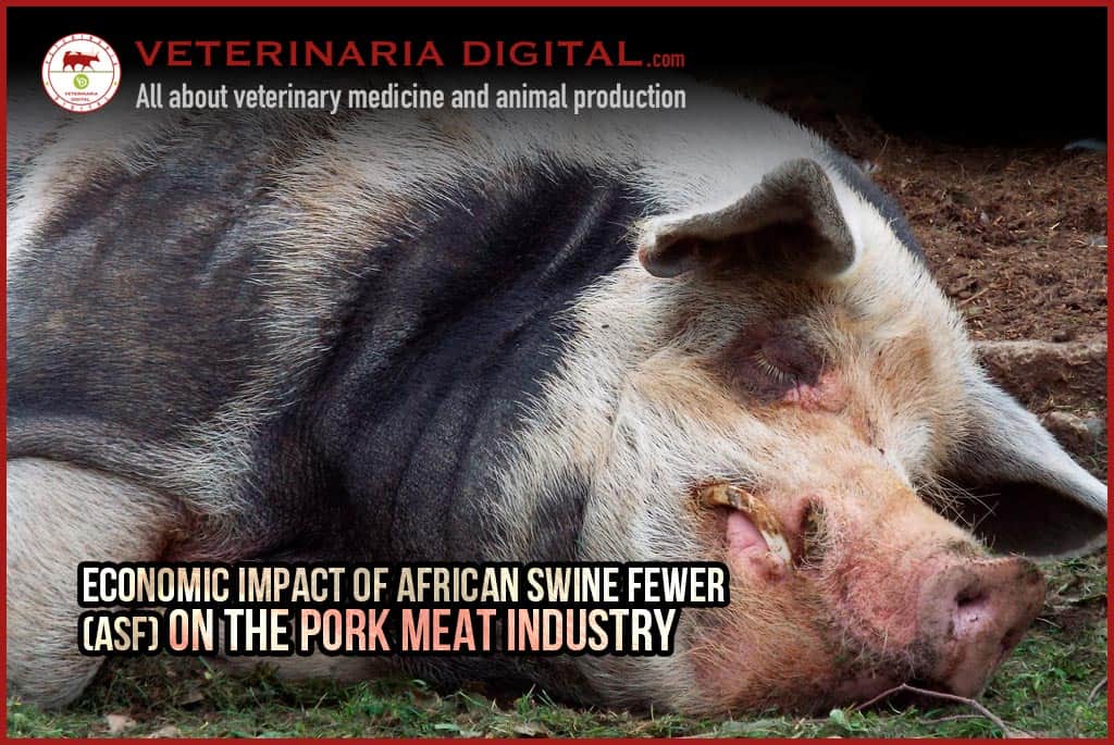 Economic impact of African Swine Fewer (ASF) on the pork meat industry
