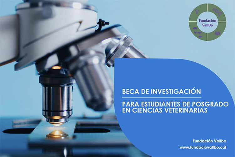 Beca de investigación: Aislamiento microbiológico de las principales bacterias causantes de enfermedades hepáticas en avicultura