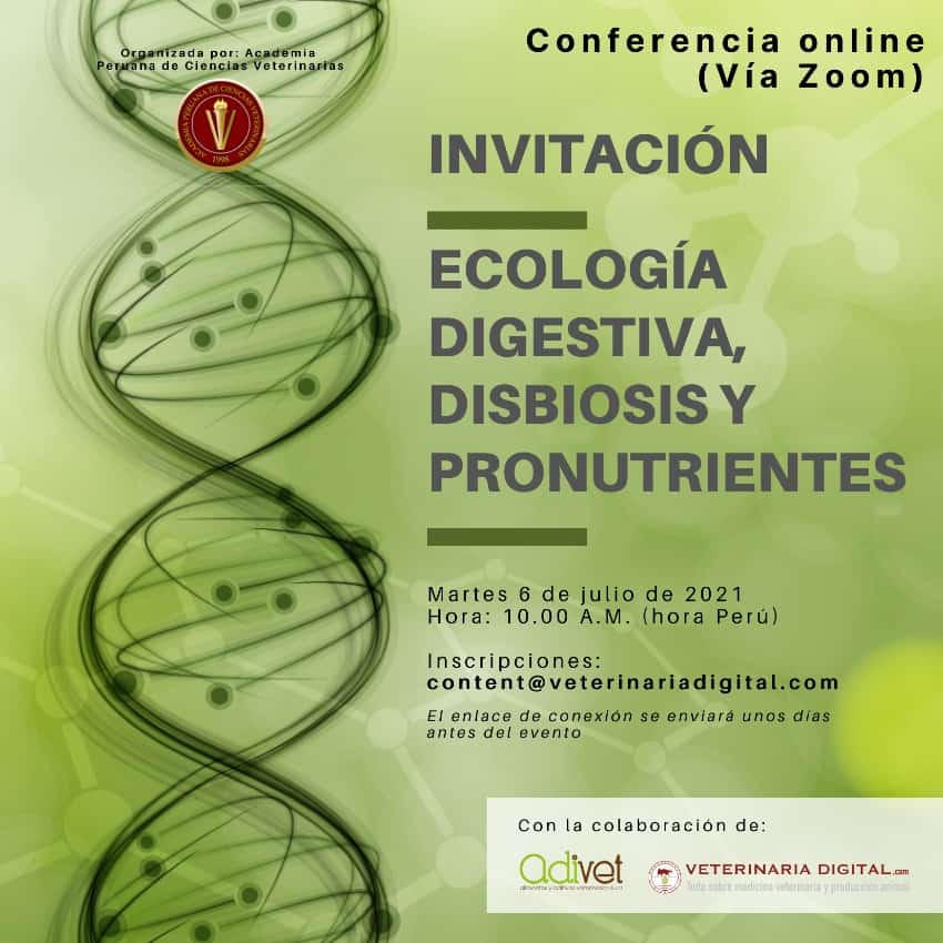 Conferencia online 