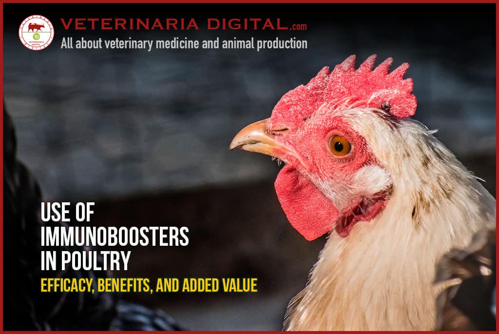 Use of immunoboosters in poultry: efficacy, benefits, and added value