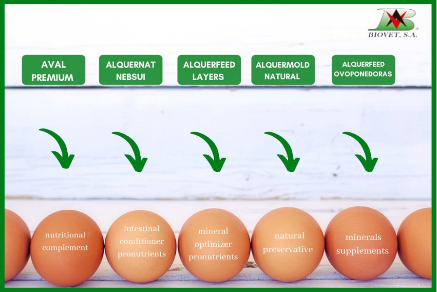 Natural solutions for layers