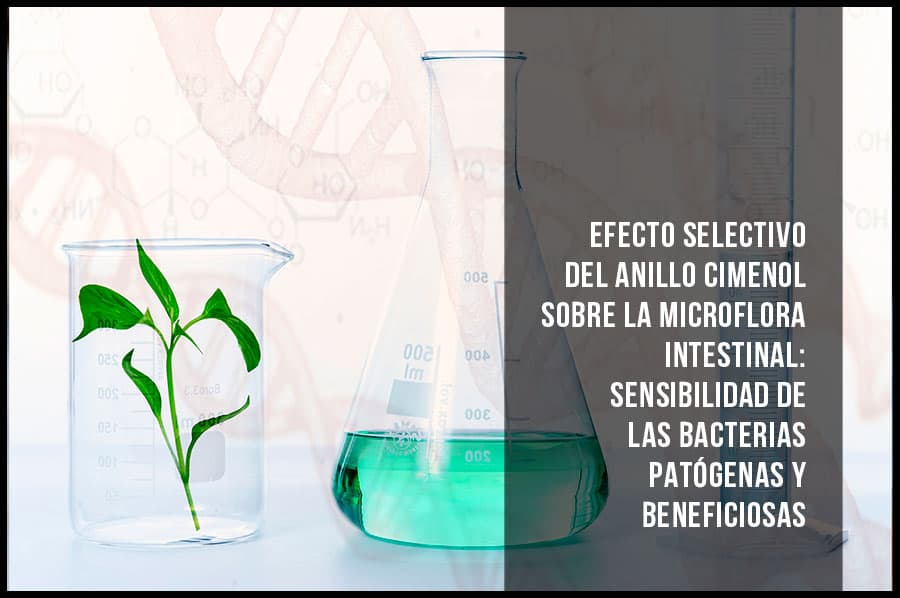 Efecto selectivo del anillo cimenol sobre la microflora intestinal: sensibilidad de las bacterias patógenas y beneficiosas