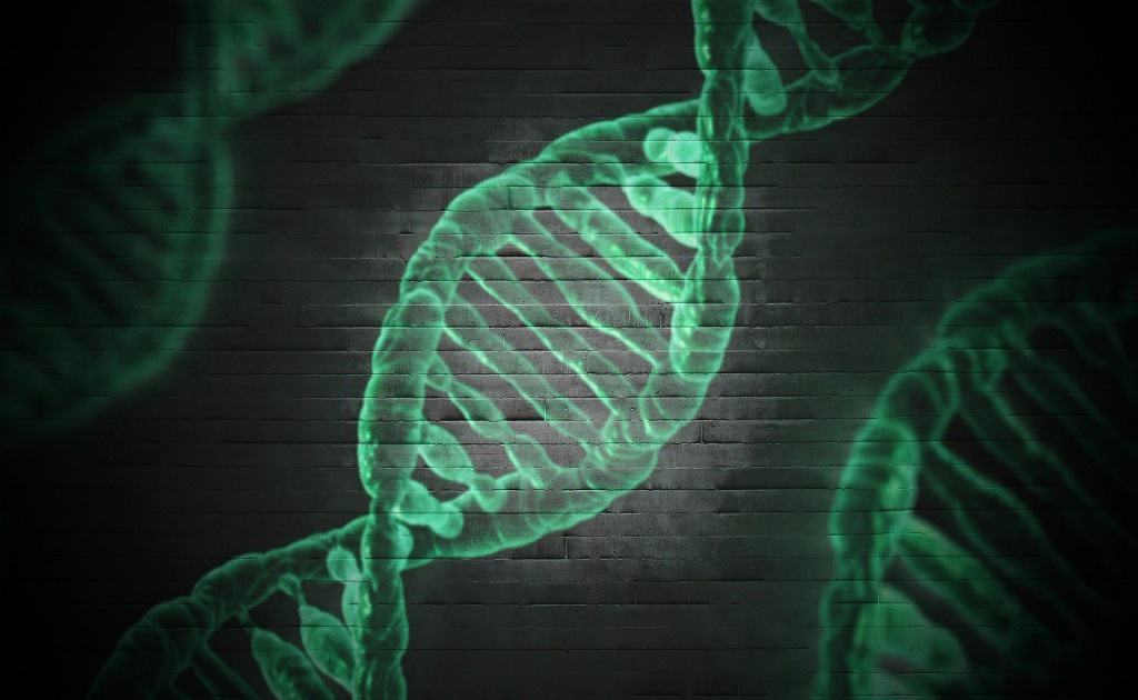 Genesis, selection and evolution. Science blog 123