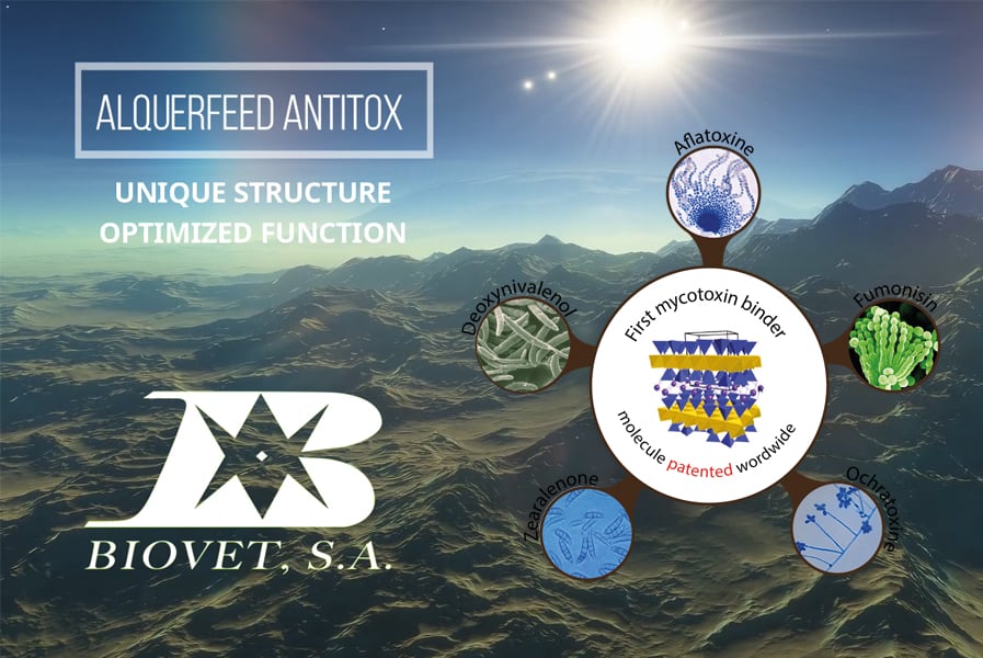 Alquerfeed Antitox: unique structure, optimized function
