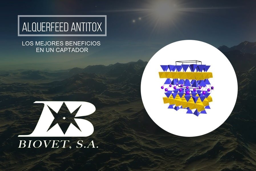 Alquerfeed Antitox, los mejores beneficios en un captador