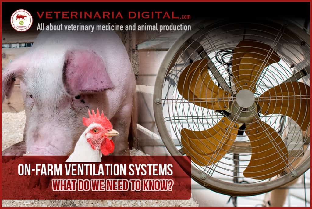On-farm ventilation systems: What do we need to know?