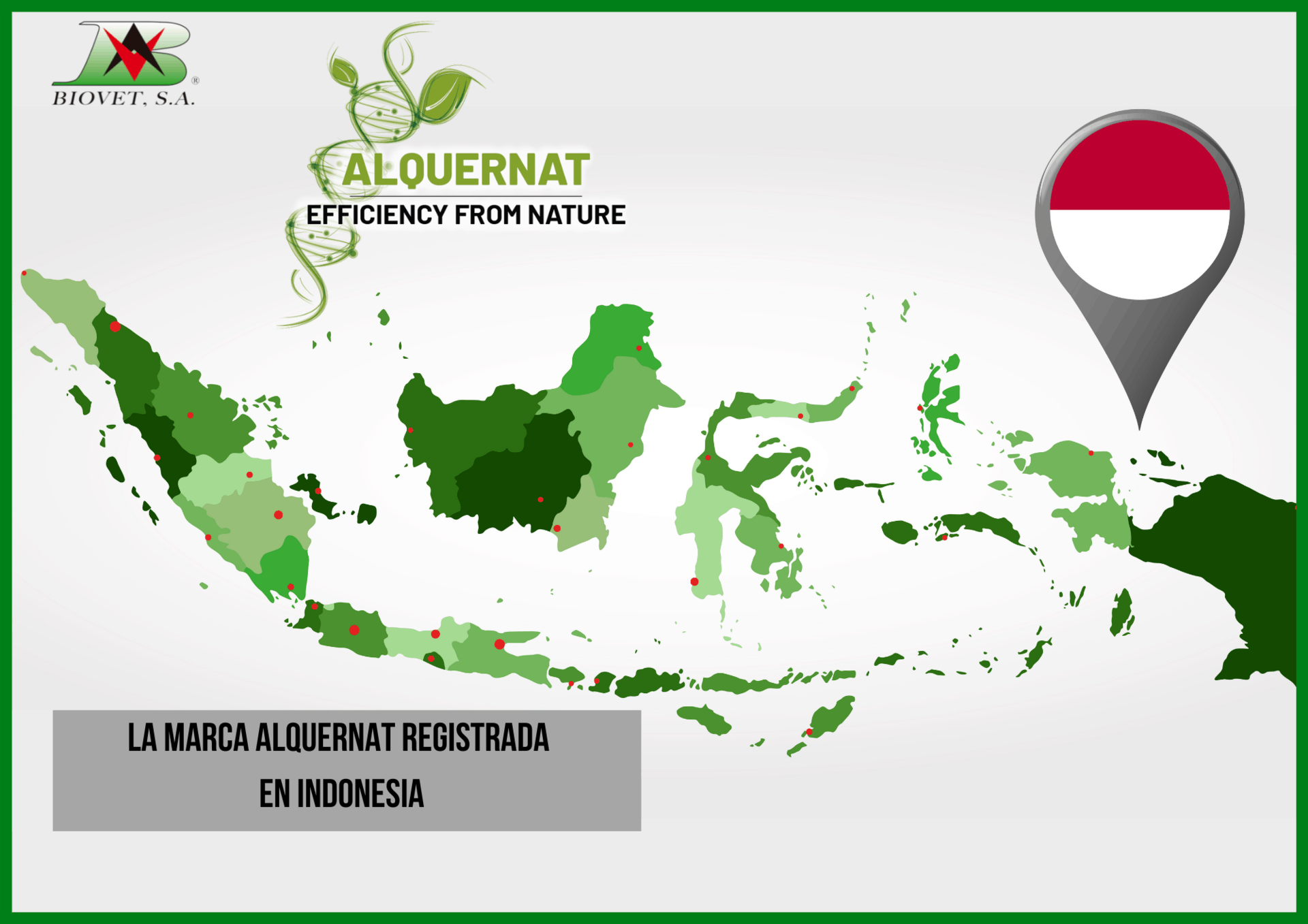 La marca Alquernat registrada en Indonesia