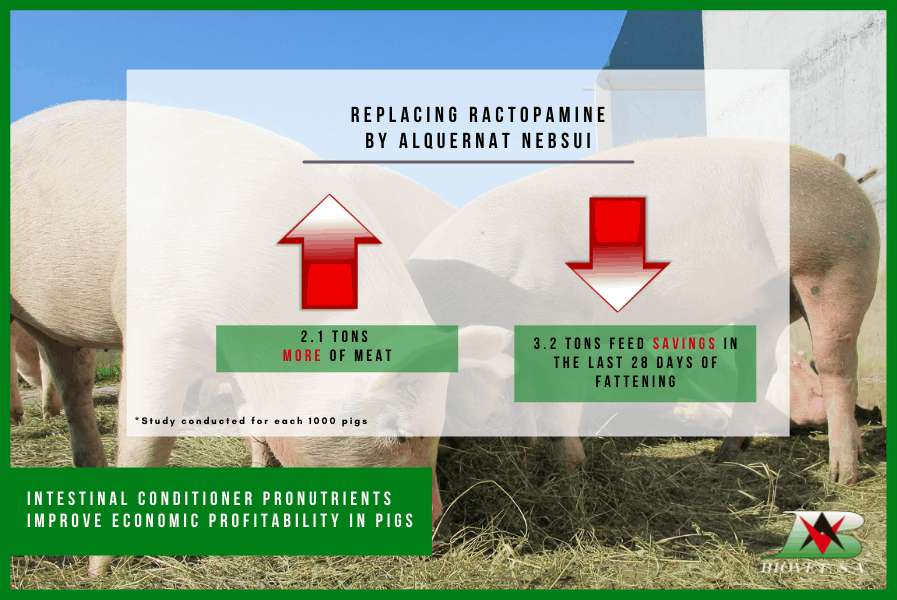 Intestinal conditioner pronutrients improve economic profitability in pigs