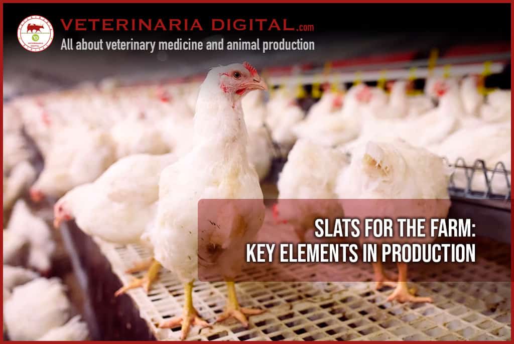 Slats for the farm: key elements in production