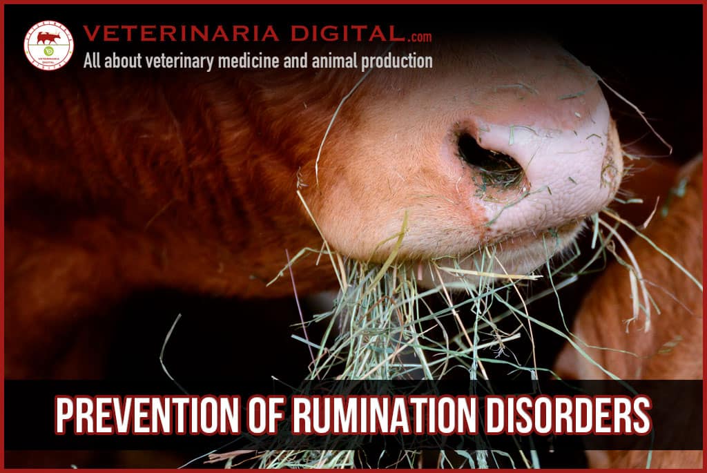 Prevention of rumination disorders