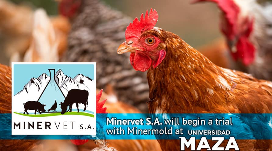 Minervet S.A. will begin a trial with Minermold at Maza University