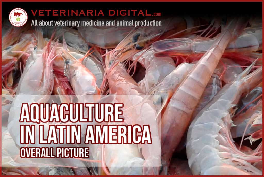 Aquaculture in Latin America: overall picture