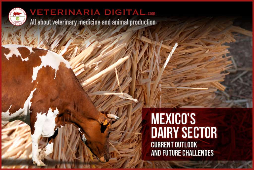 Mexico’s dairy sector: current outlook and future challenges
