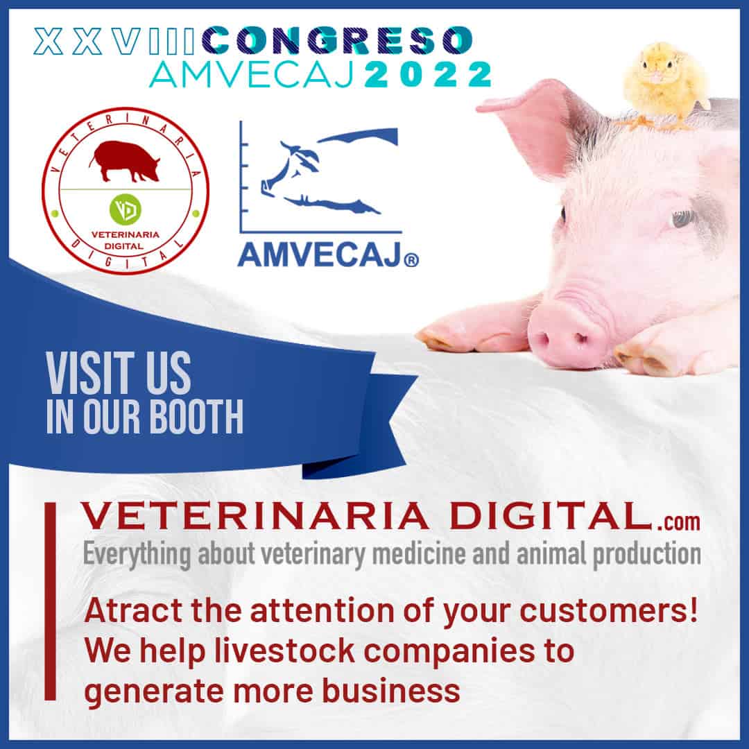 Veterinaria Digital at the XXVIII Congress AMVECAJ 2022