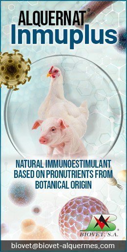 Biovet_Banner_255x520_Inmuplus_(poultry-pig)_en