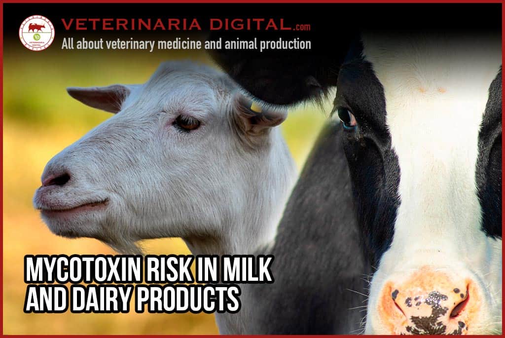 Mycotoxin risk in milk and dairy products