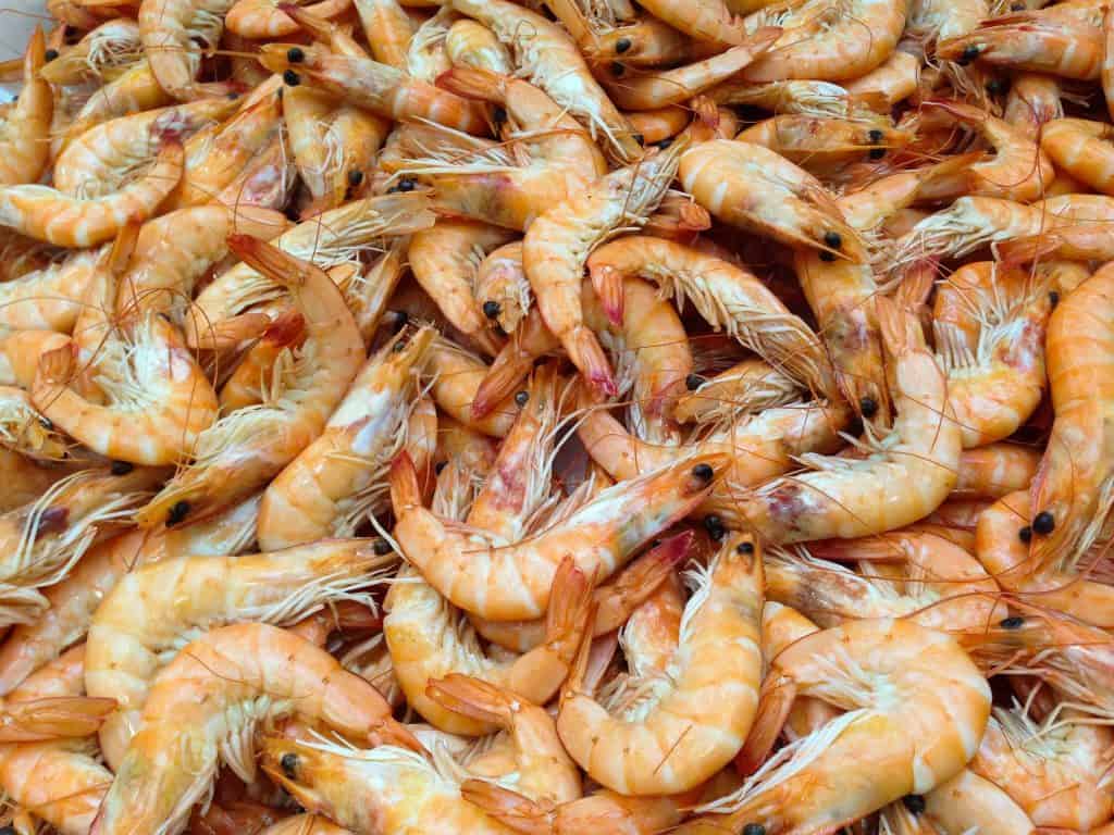 La producción de langostinos en 2022 será liderada por los productores latinoamericanos