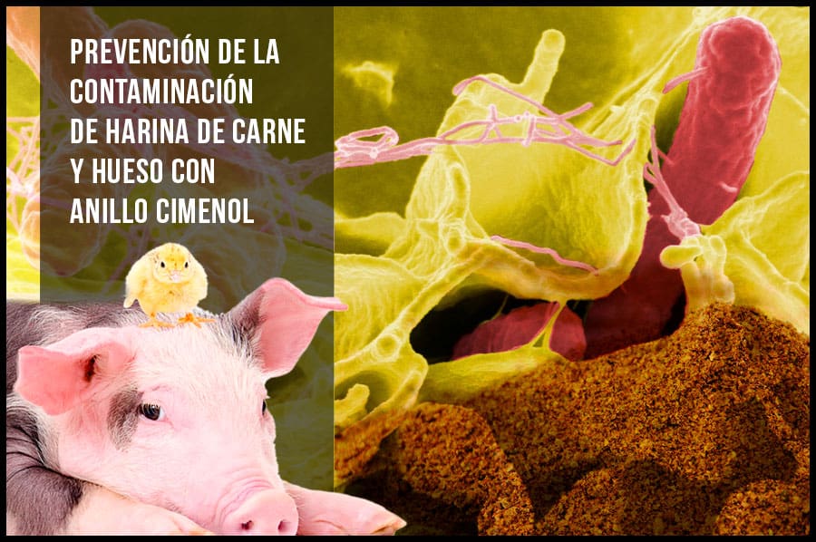 Prevención de la contaminación de harina de carne y hueso con el uso de anillo cimenol