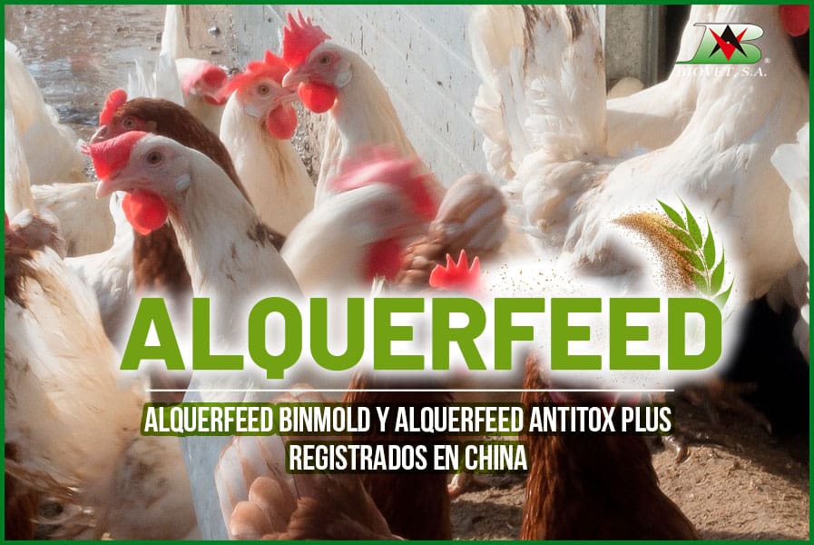 Alquerfeed Binmold y Alquerfeed Antitox Plus registrados en China