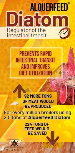 Biovet_Banner_255x520_Diatom_en