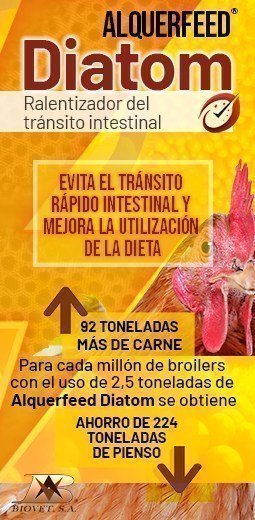 Biovet_Banner_255x520_Diatom_es