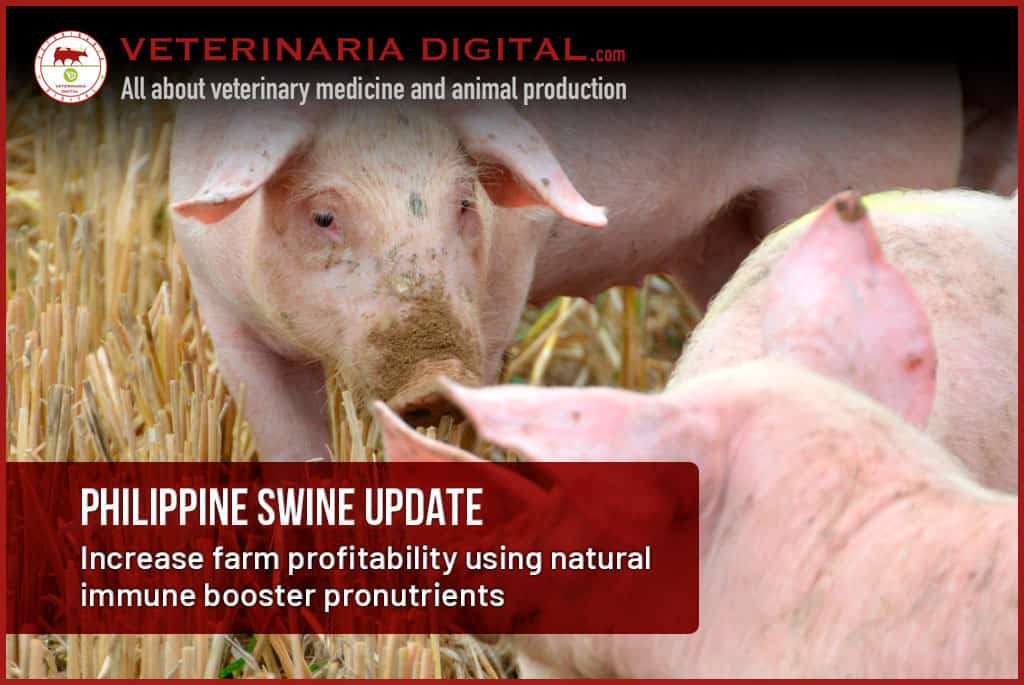 Philippine Swine Update