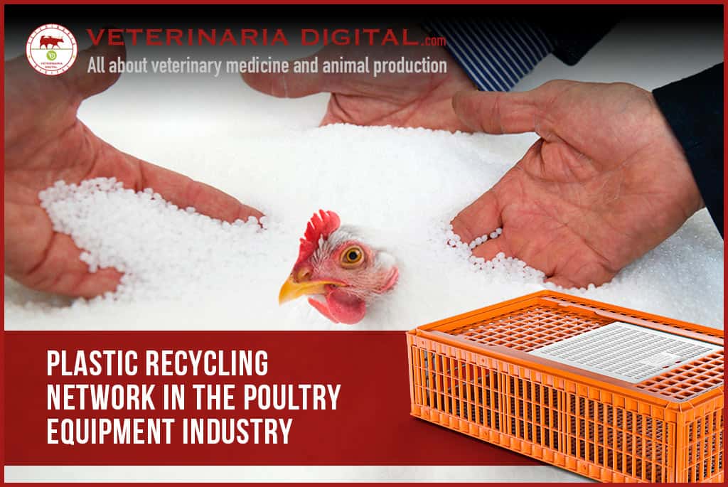 Plastic recycling network in the poultry equipment industry