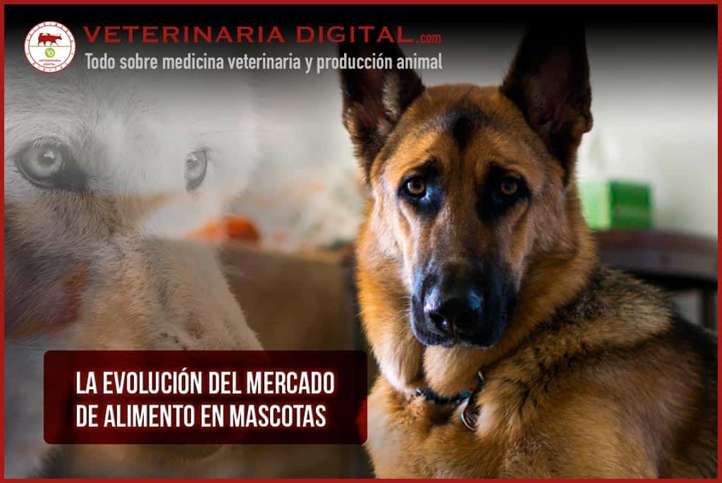 La evolución del mercado de alimento en mascotas