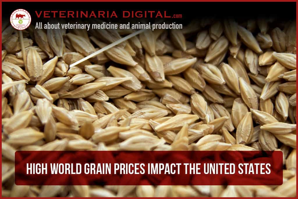 High world grain prices impact the United States