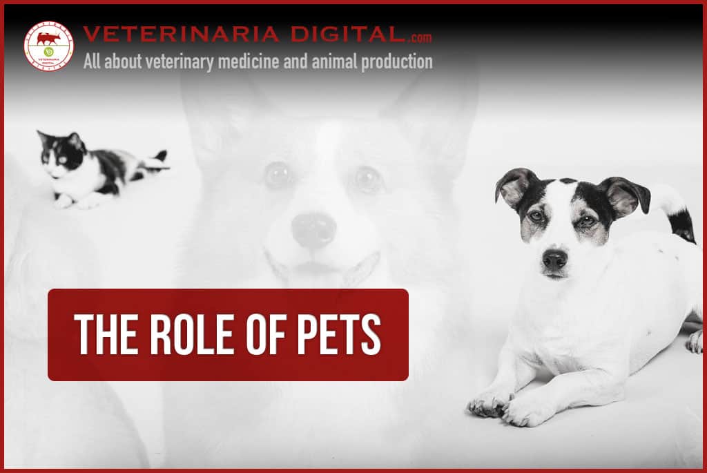 The role of pets