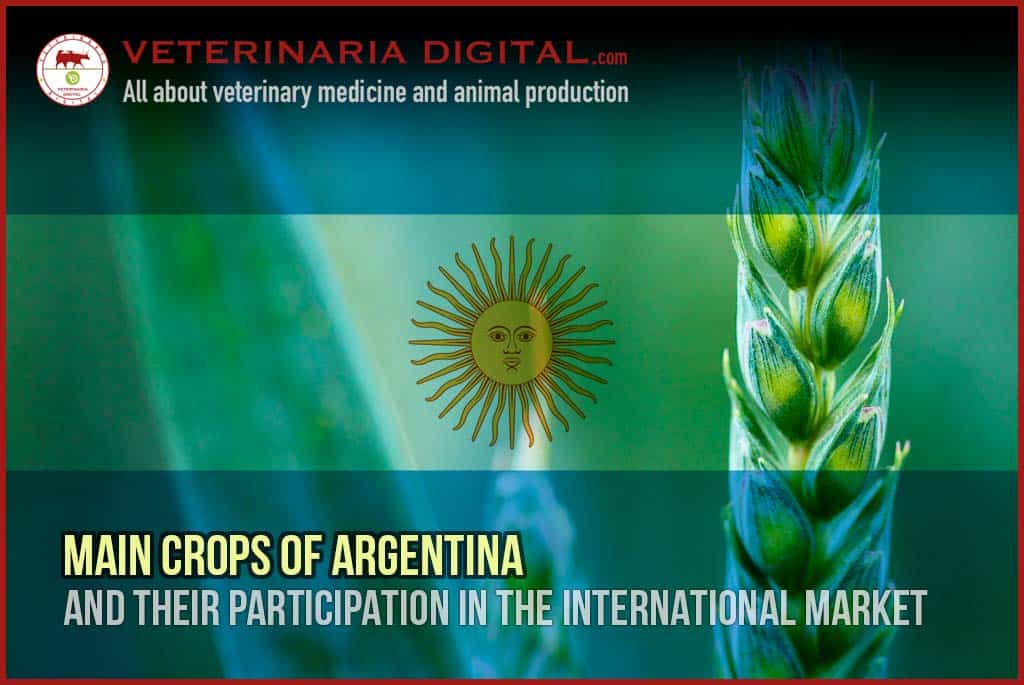 Main crops of Argentina and their participation in the international market