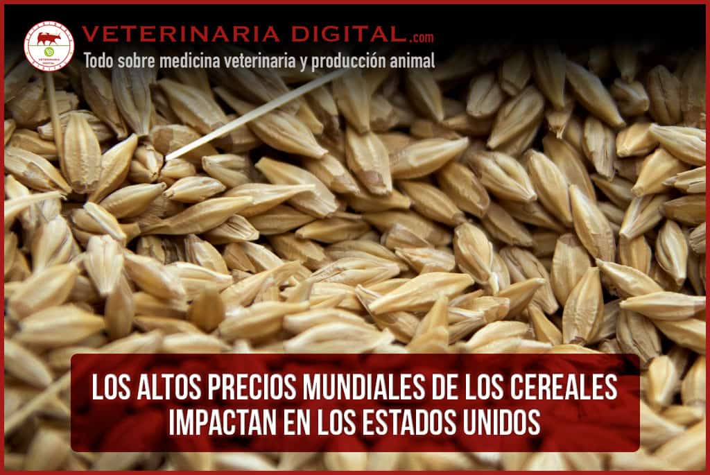 Los altos precios mundiales de los cereales impactan en los Estados Unidos
